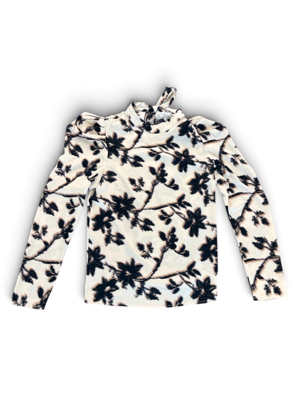 TCEC Cream Mock Neck Long-Sleeve Top with Black Floral Print